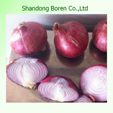 Competitive Quality Fresh Yellow Onions (5-8cm)